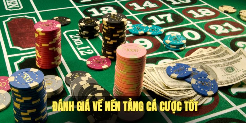 Nền tảng luôn đảm bảo cá cược rất tốt