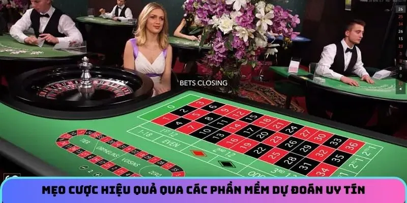 Mẹo cược hiệu quả qua các phần mềm dự đoán uy tín 